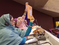 Participación en el primer Congreso Mundial sobre las Desapariciones Forzadas
