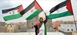 Hegoa rechaza la decisión del Gobierno español sobre el Sáhara Occidental por ser contraria al derecho internacional