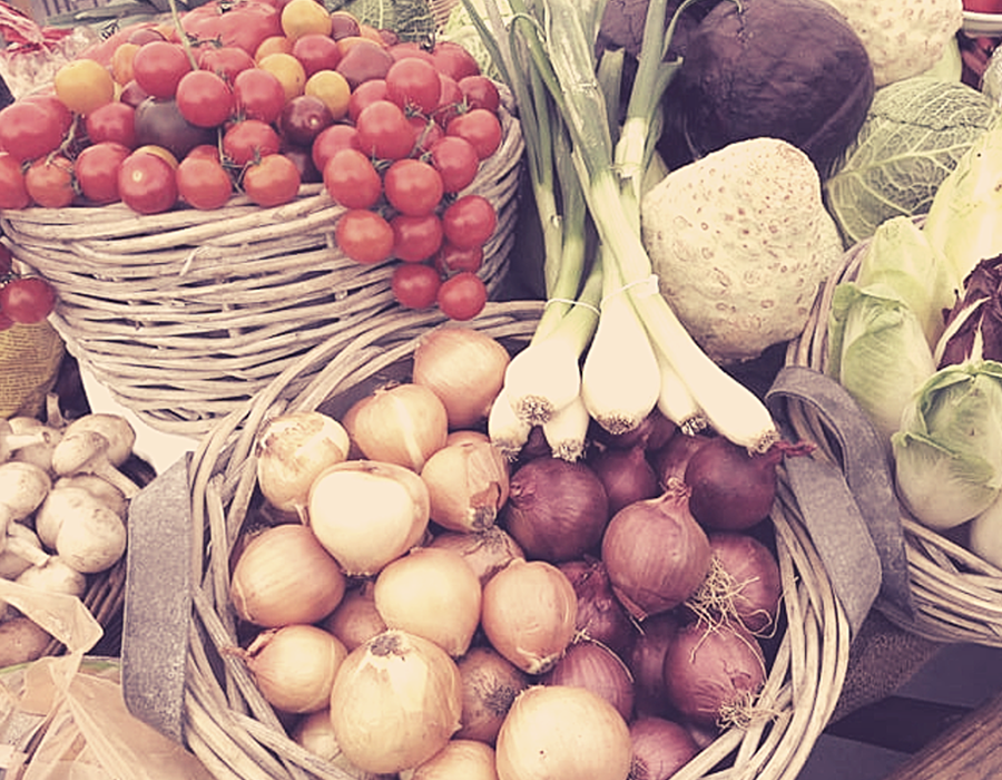 ¡Hola, Soberanía Alimentaria! Formación online autoguiada sobre modelos alimentarios alternativos