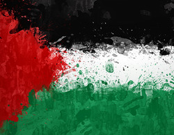Solidaridad de Hegoa con Palestina