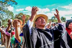 Denunciamos el asesinato de Rogelio Chate Peña, del Resguardo Indígena de Pueblo Nuevo, en Caldono, Norte del Cauca (Colombia)