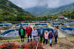 Fortalecimiento de agentes sociales para la construcción de paz y modelos económicos alternativos en el Norte del Cauca, en diálogo con la experien...