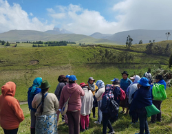 Case studies, progress and coordination in the framework of the project on eco-social transitions in the Andean region