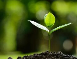 Taller en Donostia sobre las herramientas para introducir la sostenibilidad ambiental en los proyectos de cooperación al desarrollo